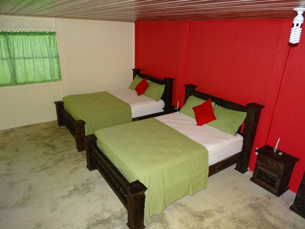 Osa Tucan Drake view 3