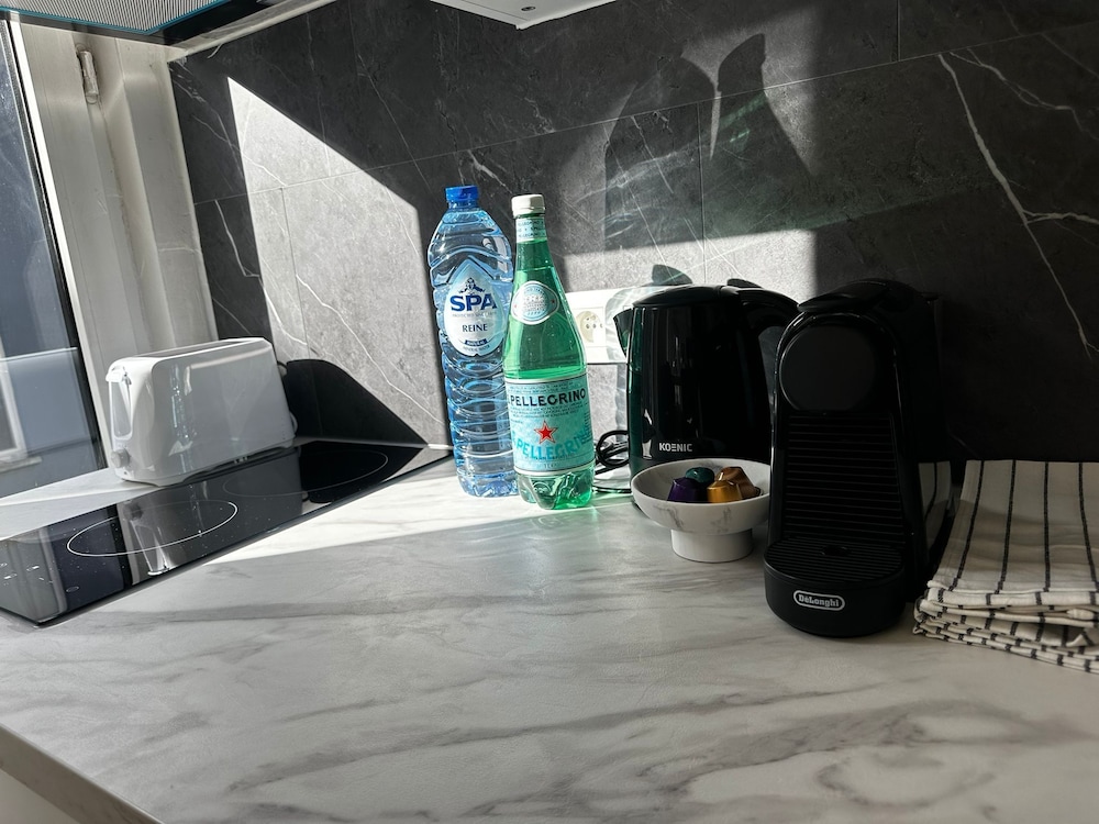 Modern 1BR plus LR Apt Near Gravensteen