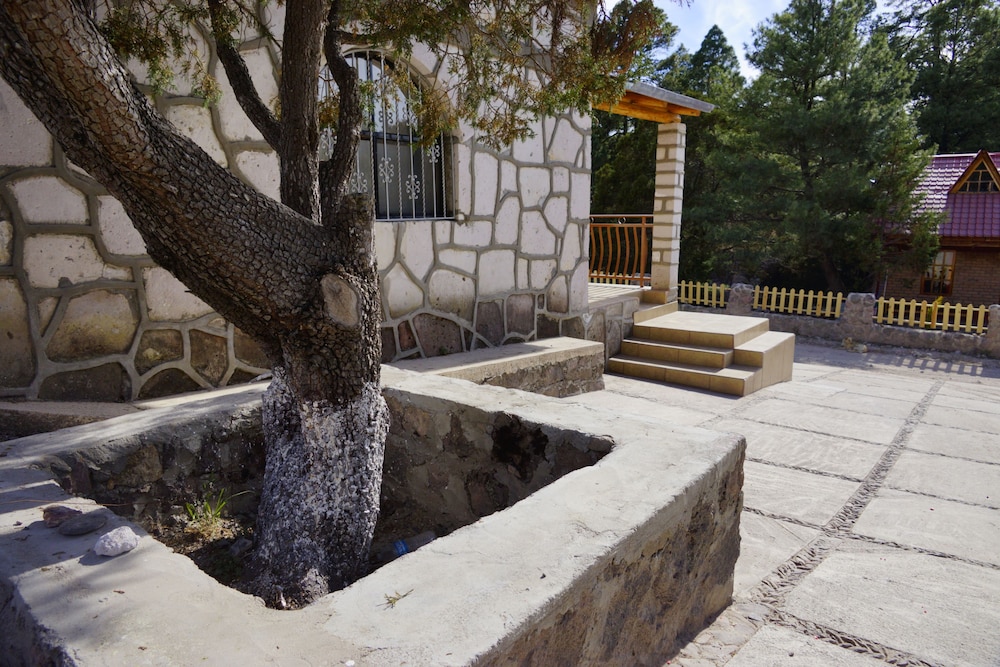 Photo 48