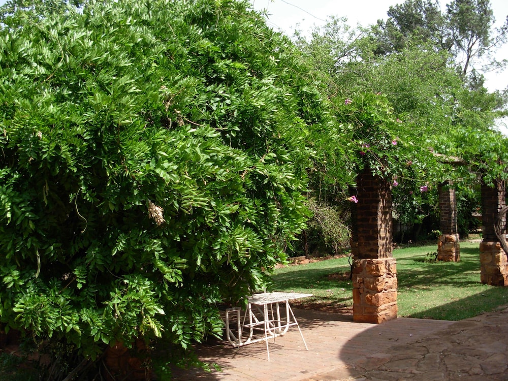 Photo 46