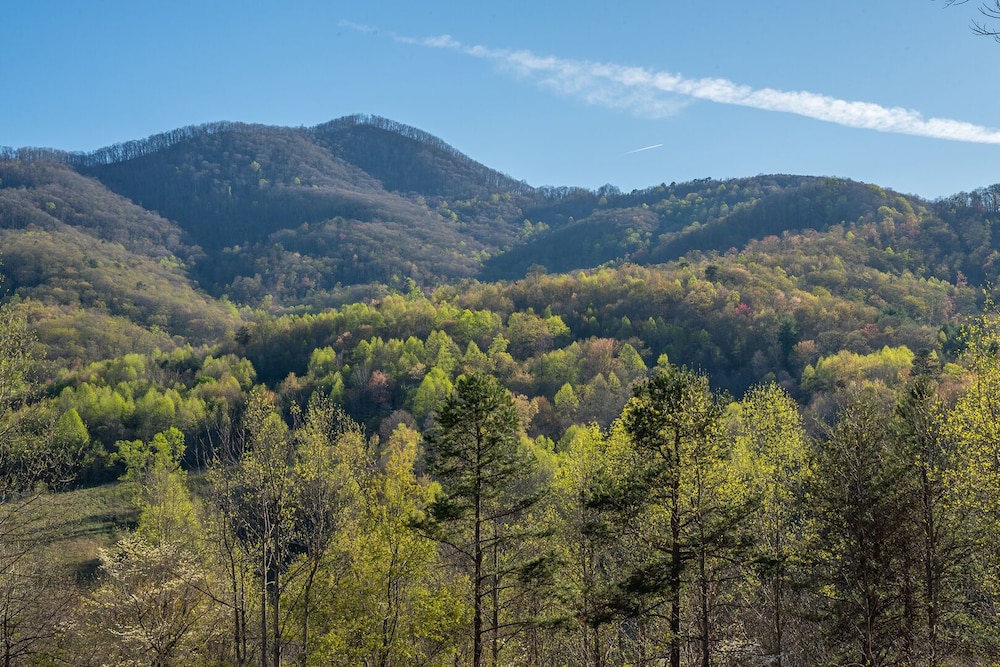 Engadine Inn  Cabins - Property Image 154