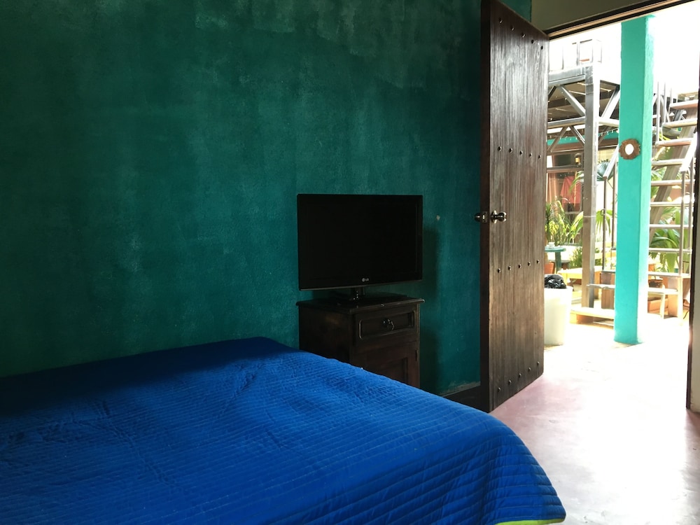 Photo 8
