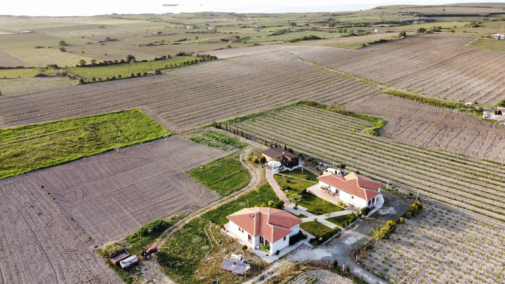 Karina Vineyard Evi - Image 20
