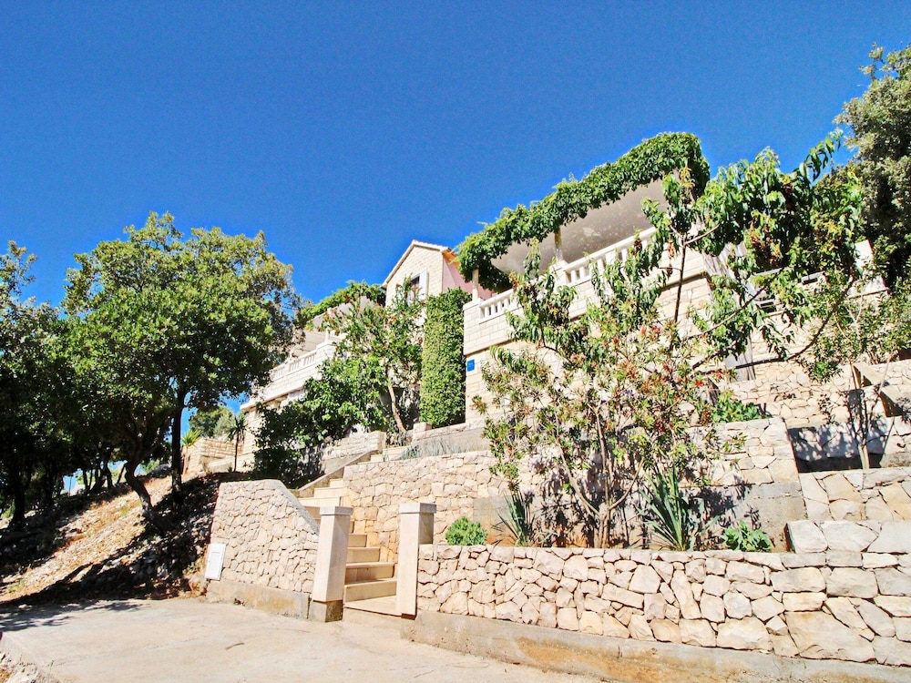 Oasis of Peace photo 2
