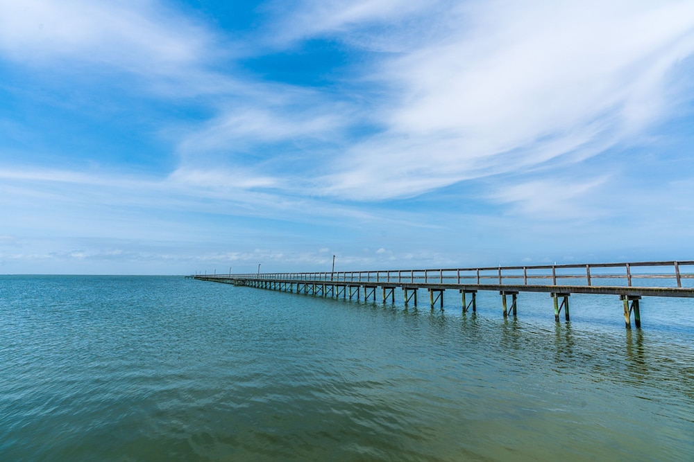 Reel Paradise in Galveston