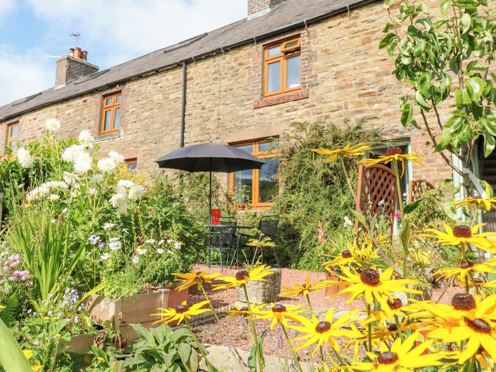 3 Tindale Terrace
