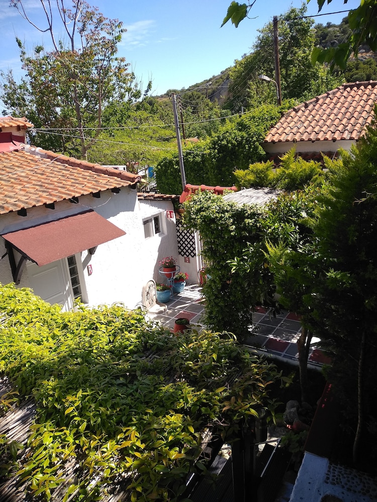 Photo 23