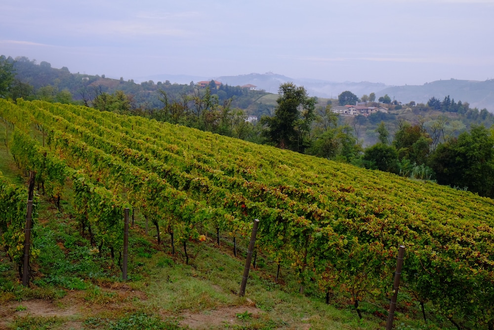 Agriturist Rupestr view 3
