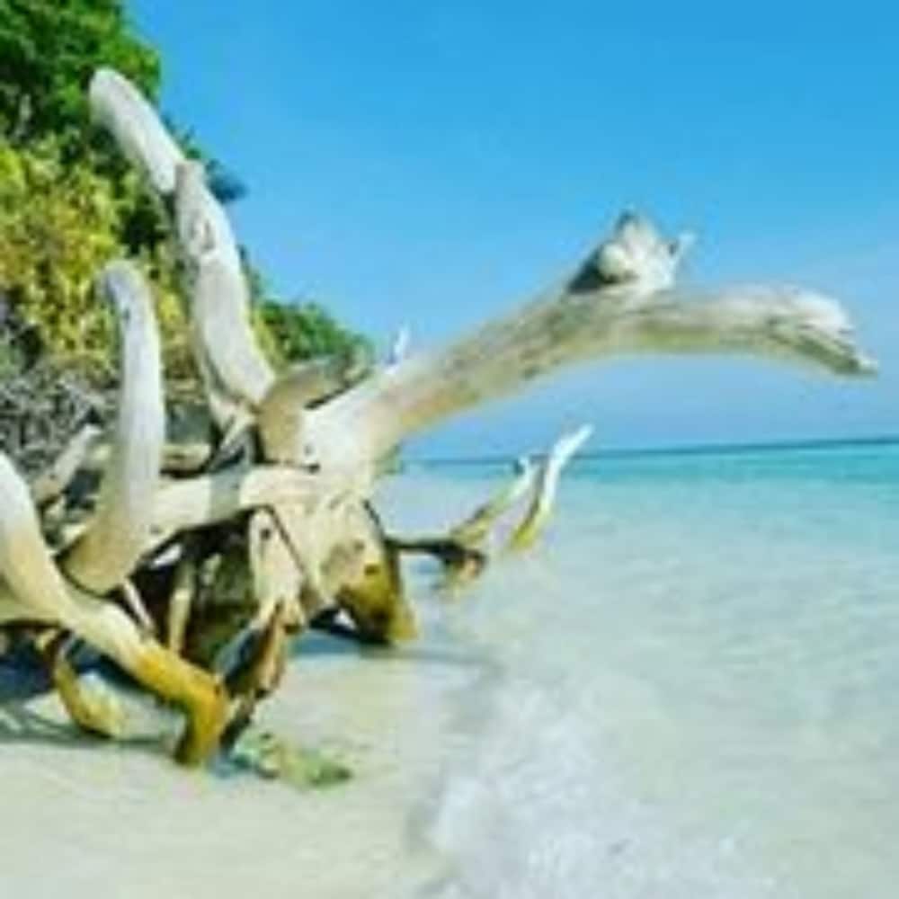 Veli Thoddoo Inn