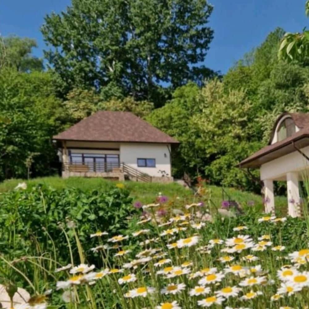 Provence Suceava