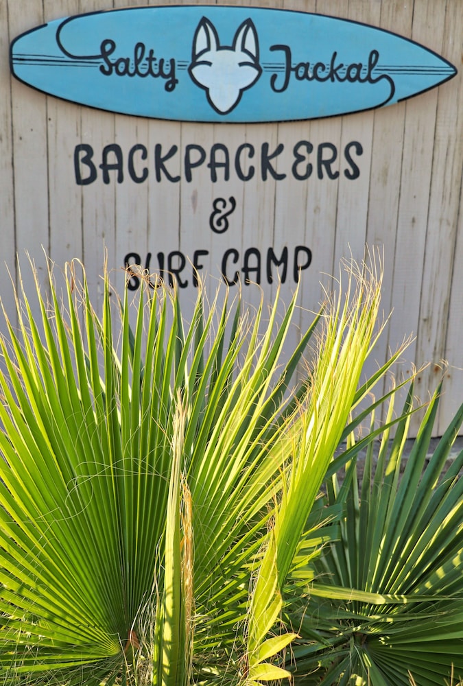 Salty Jackal Surf Camp