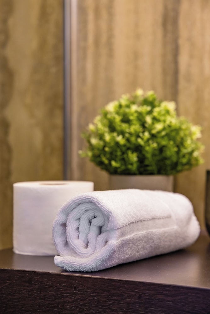 Chic Lifestyle Apartment