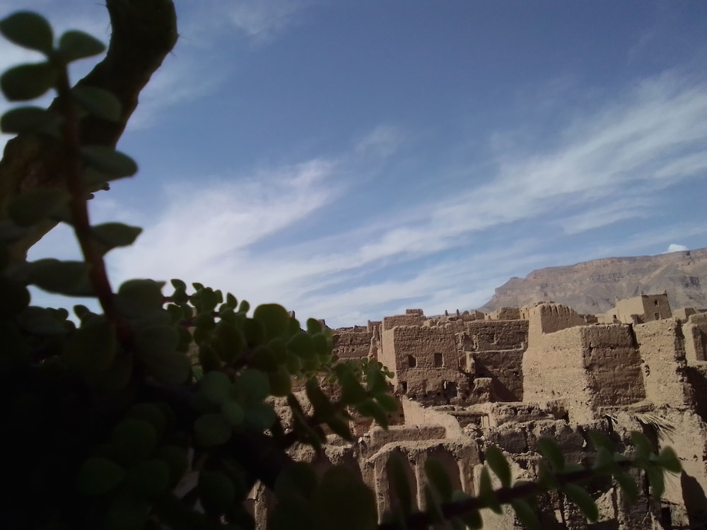 Photo 41