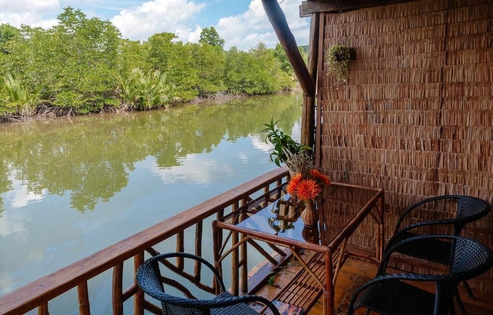 Mangroves & More