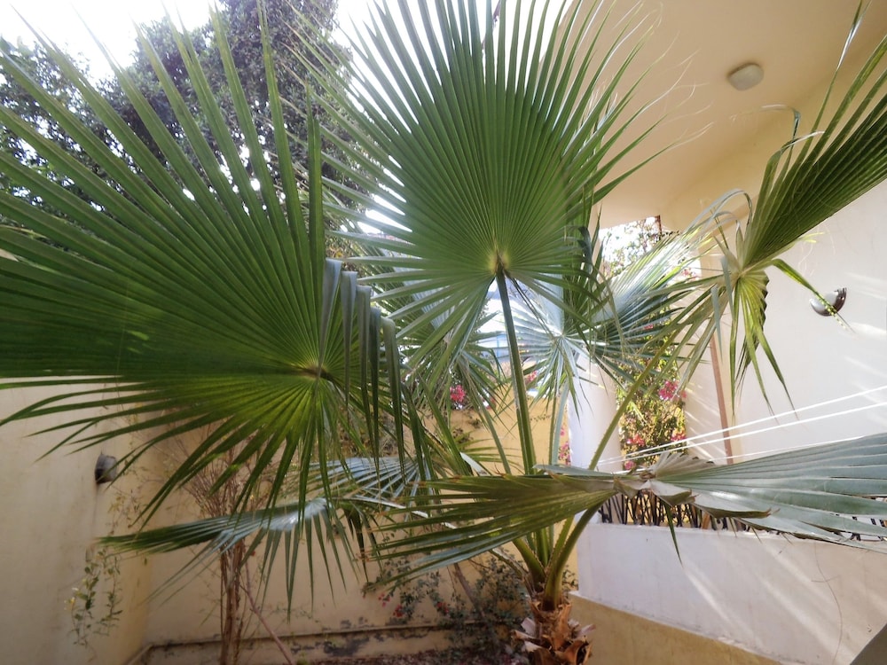Villa in Luxor