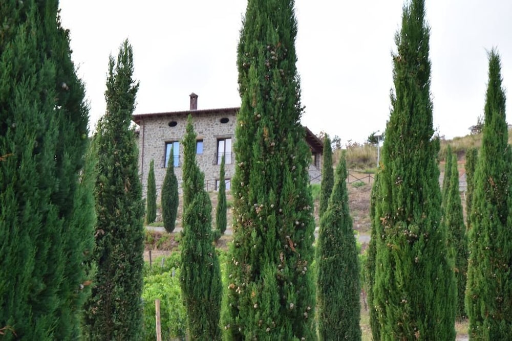 Feudi Enchestre B&B