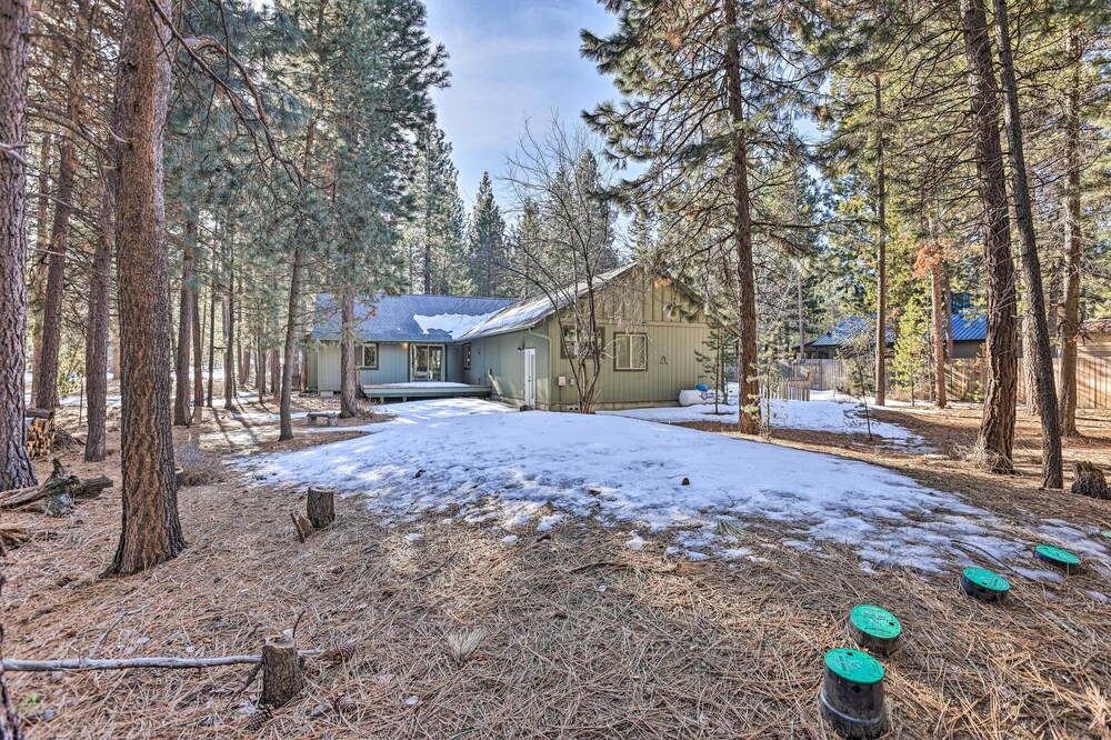 Woodsy Bend Vacation Rental - Pet Friendly! view 4