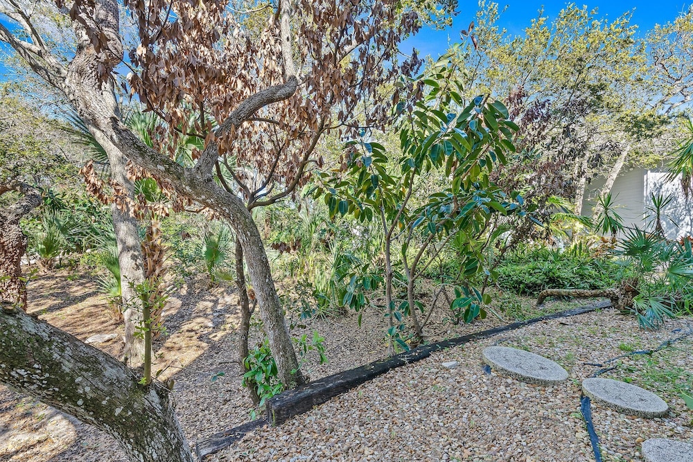 Sea Woods 123