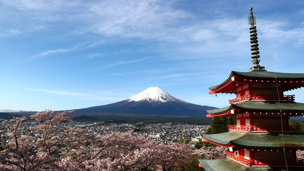 Hostel Fujisan YOU