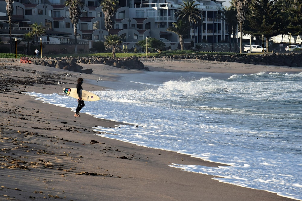 Salty Jackal Surf Camp