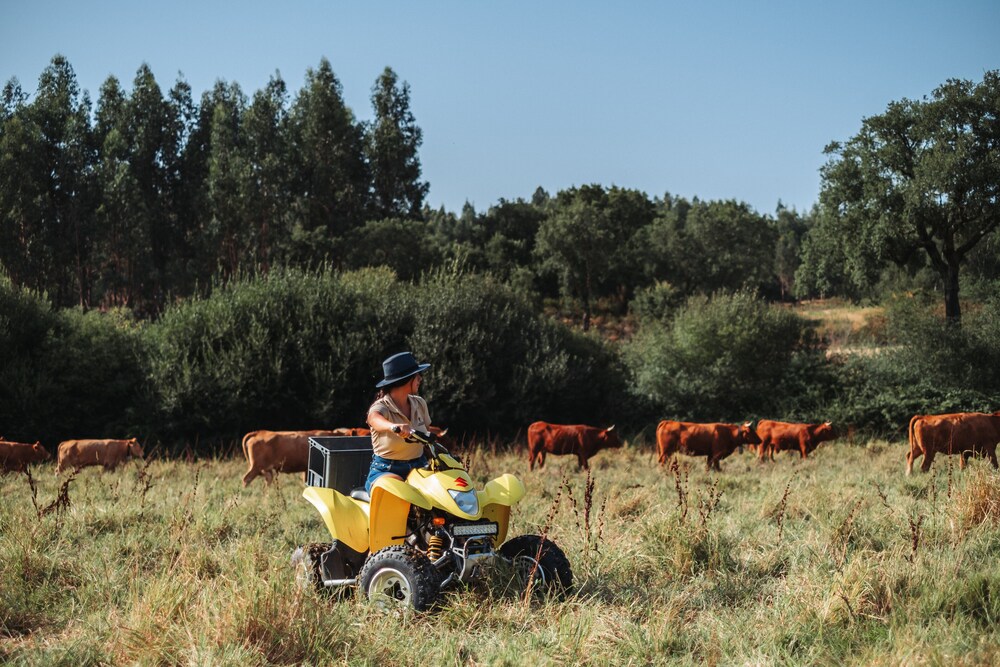 Herdade dos Cordeiros