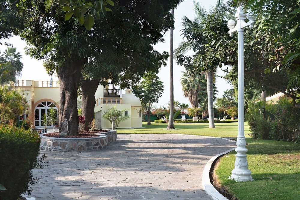 Photo 23