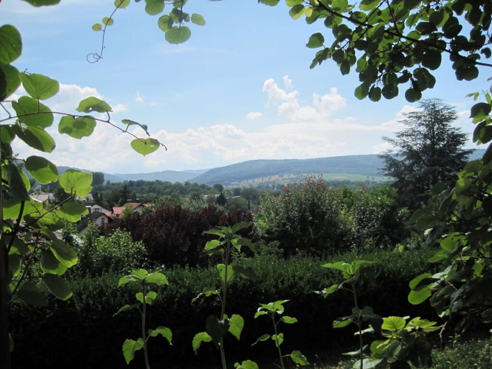 House Schwarzwaldblick Ettenheim