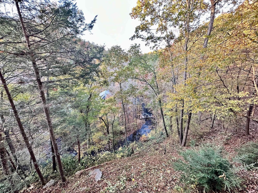 Cove Creek Overlook