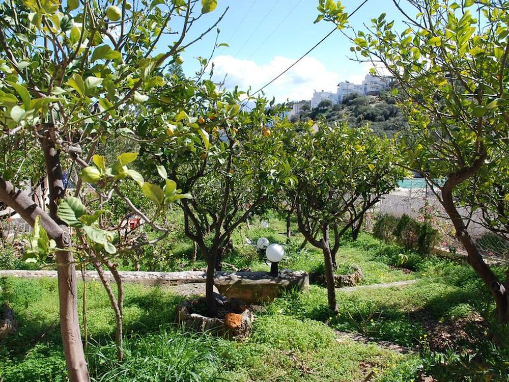 Photo 14