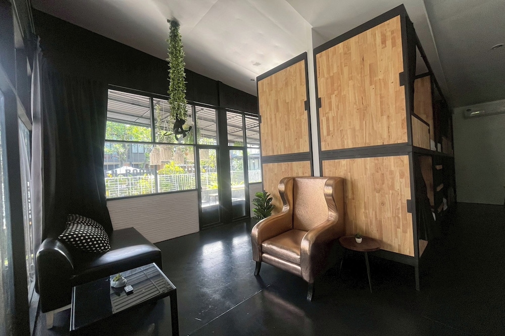 Lazy Lizard Hostel