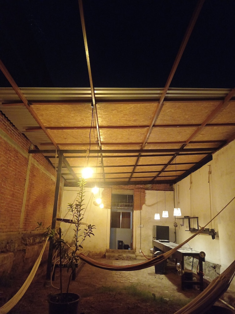 Iguana Co-living