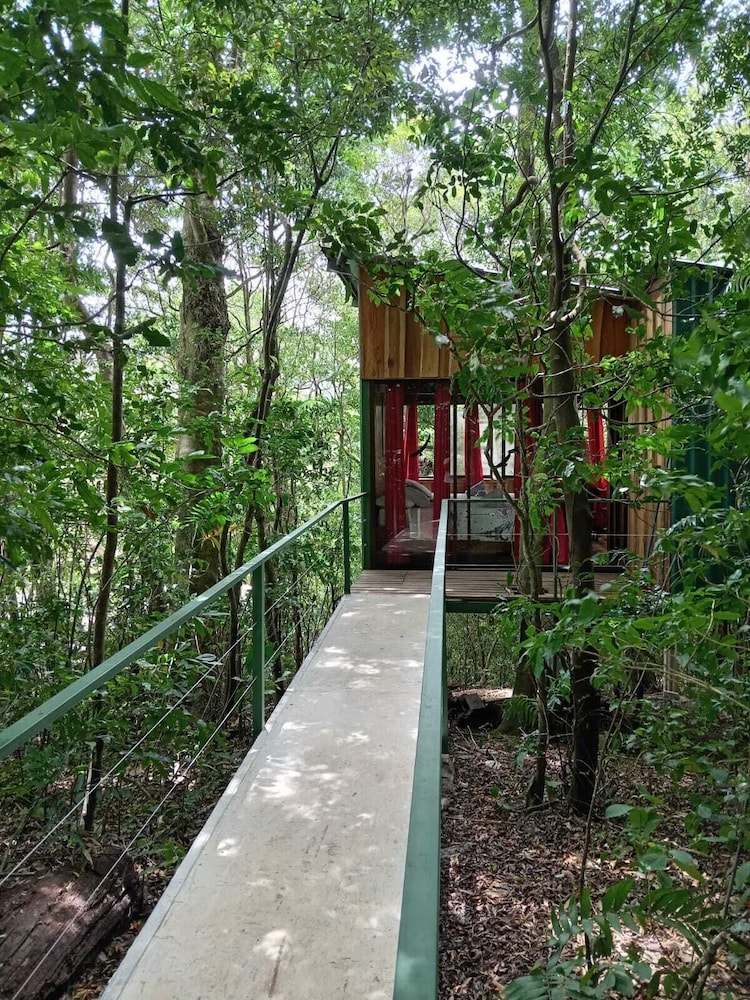 Hotel The Green Tree Lodge - Image 1