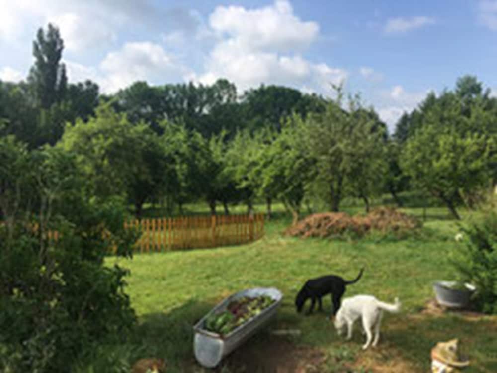 other