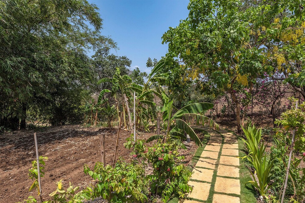 Cosmicstays Joshet Farmstay