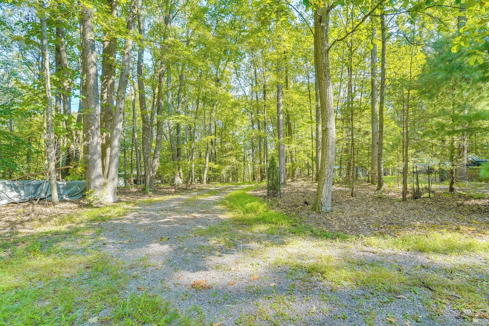 Cabin Comfort Near Psu! Fire Pit & On-site Trails