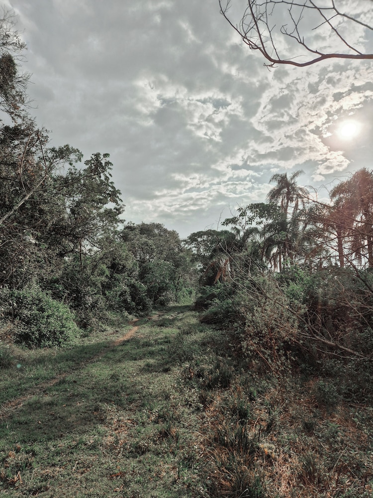 Wild Wetlands Lodge