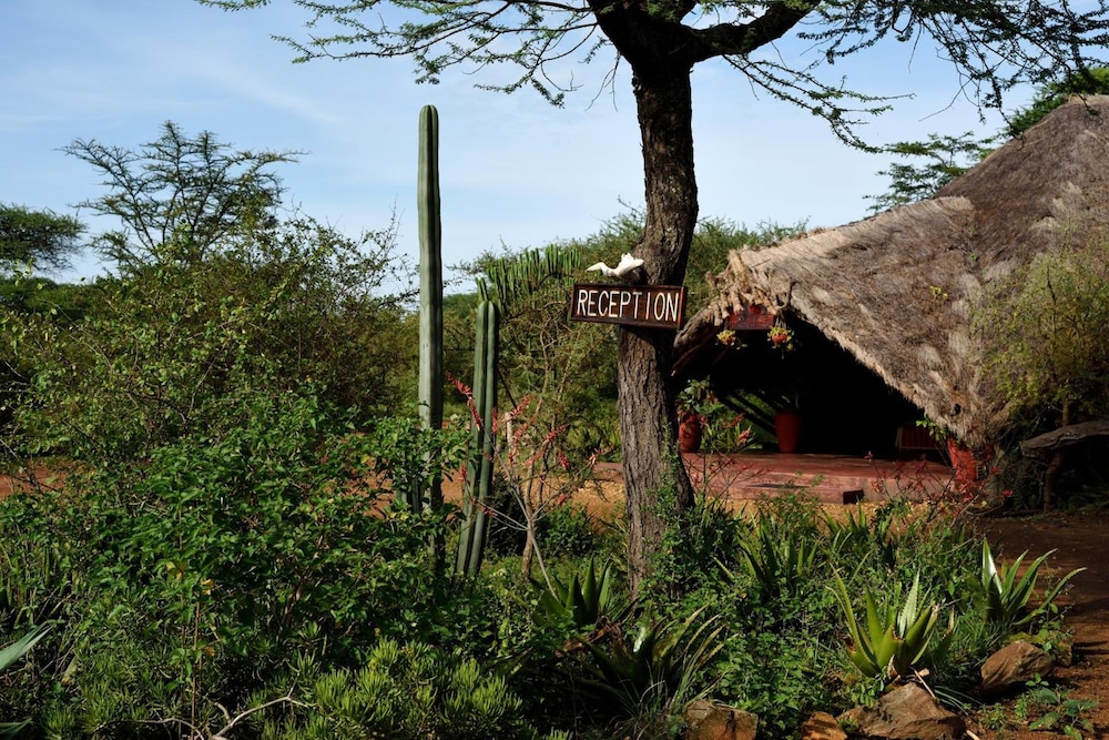 Ikoma tented Camp