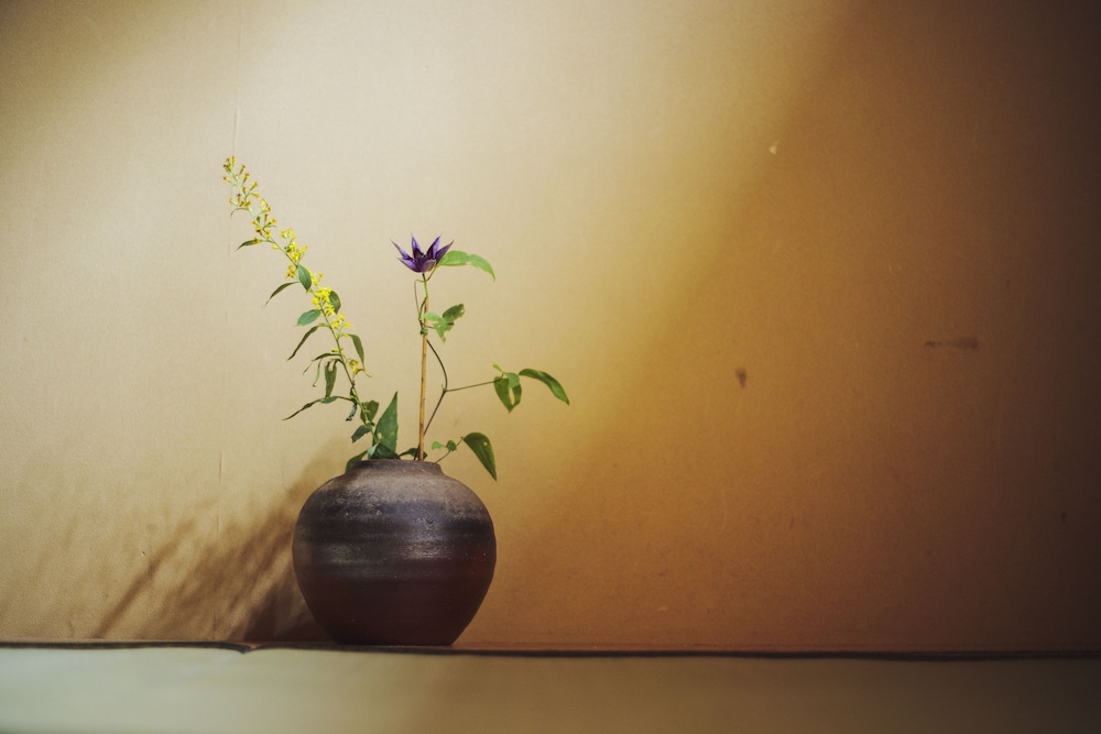Photo 45