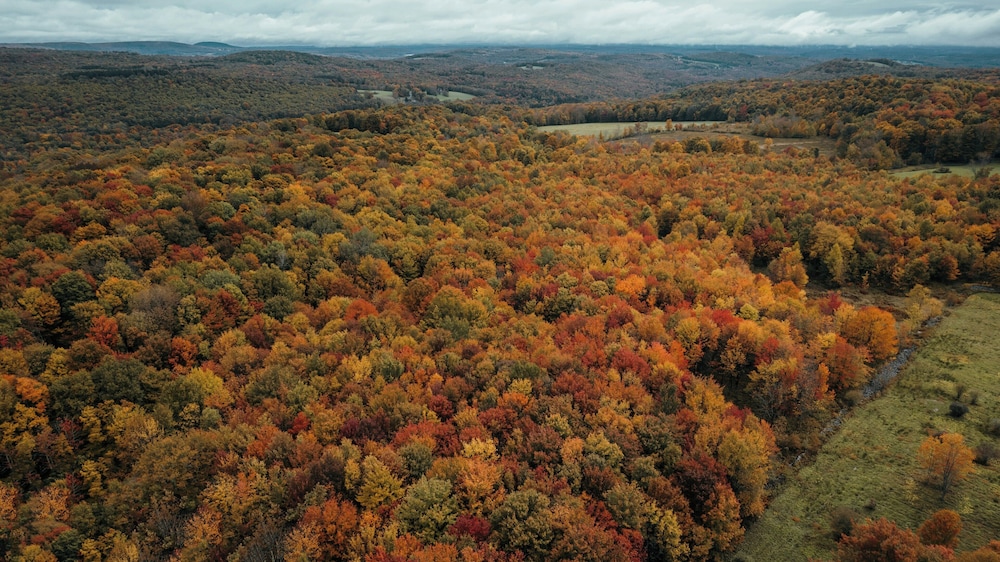 Huttopia Berkshires