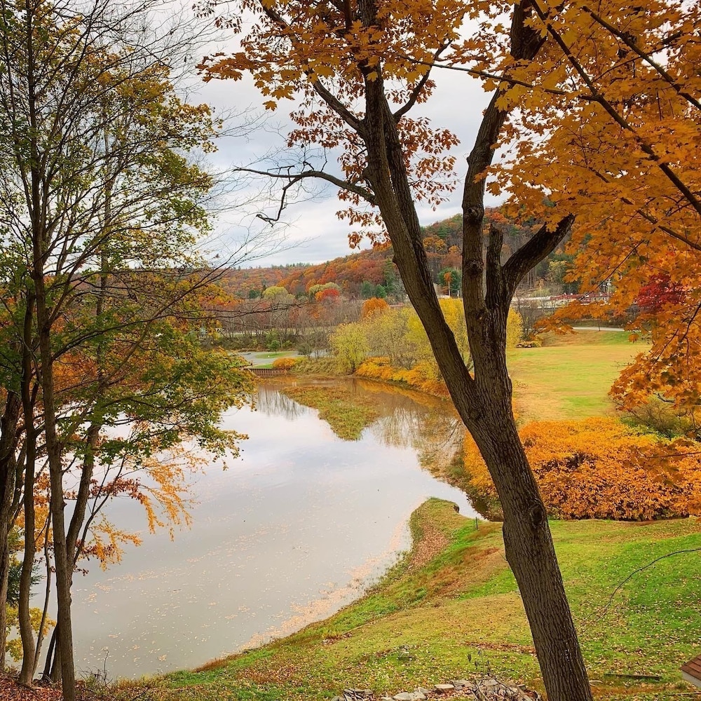 Moonriver Inn