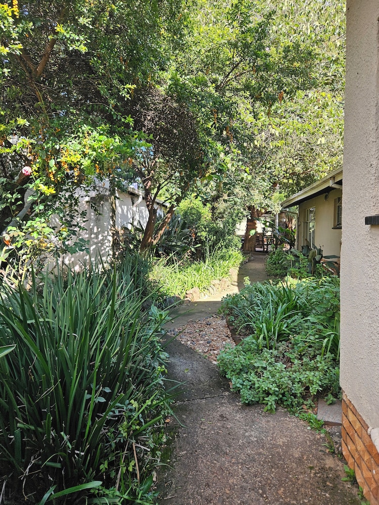 Birchway's Backpackers