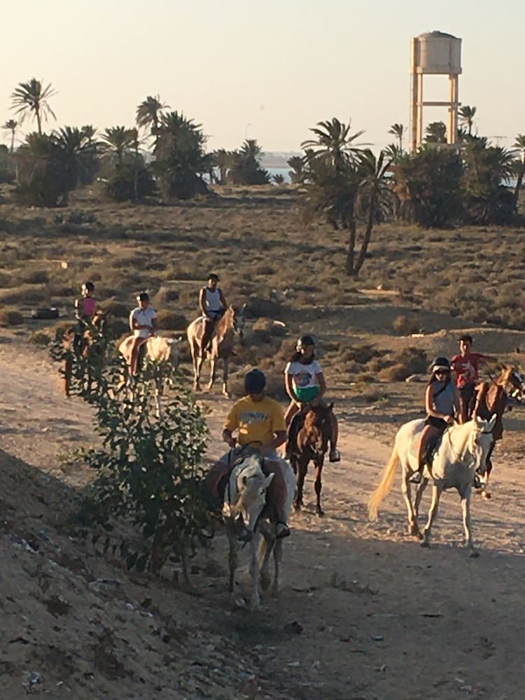 Aghir Vacations - Tamalou Djerba - Property Image 29