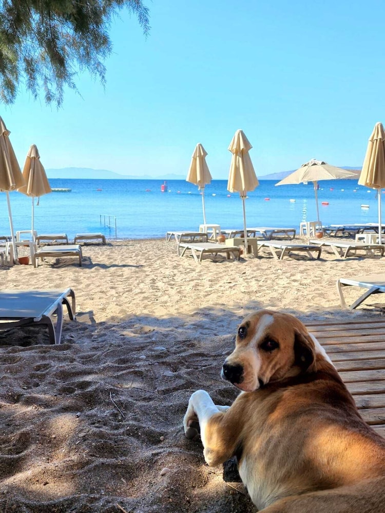 Kefi Beach ve Süitler - Image 39