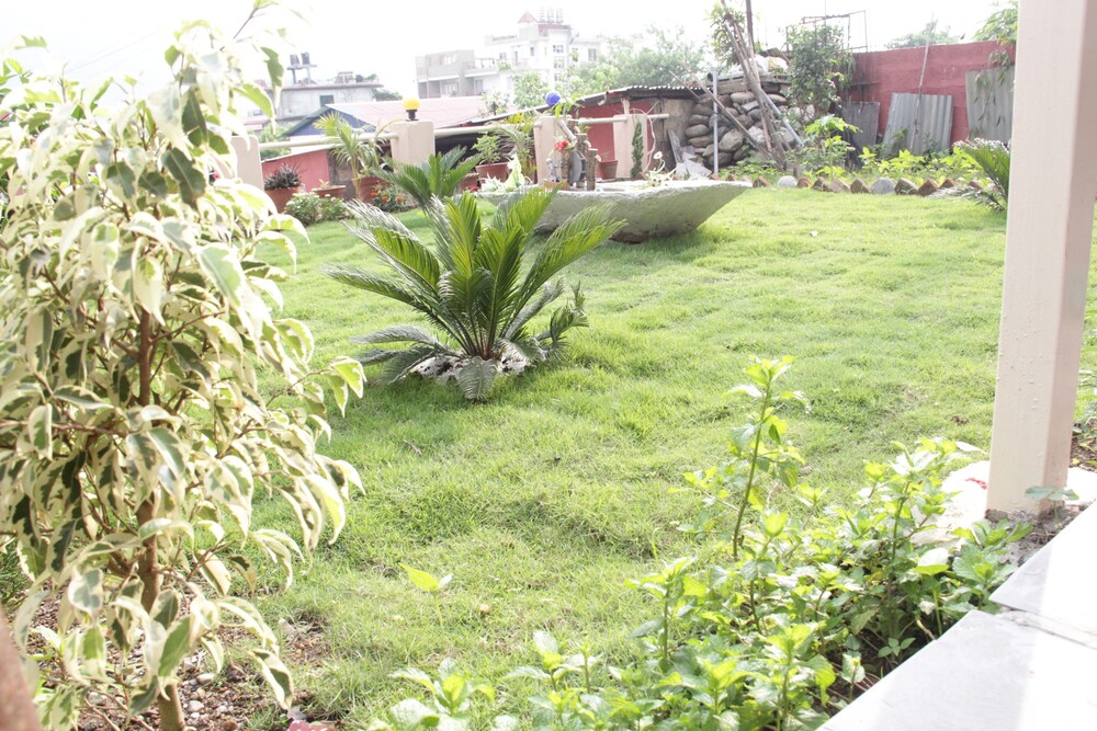 Photo 12