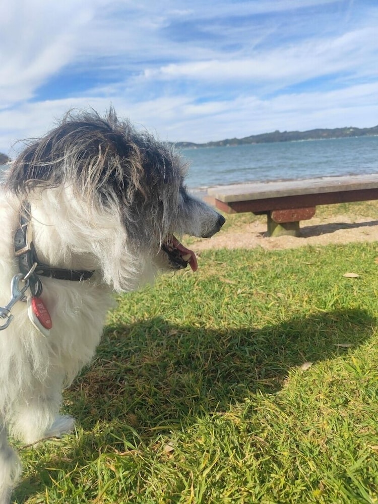 Vic's in Paihia