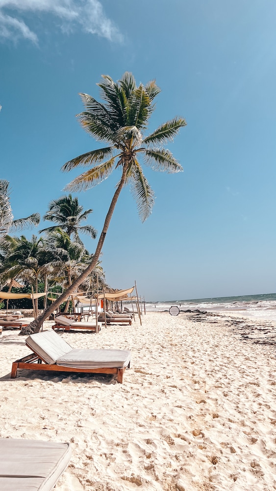 Ahau Beachfront Tulum Hotel 147