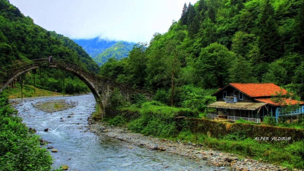 River Didi Hotel view 4