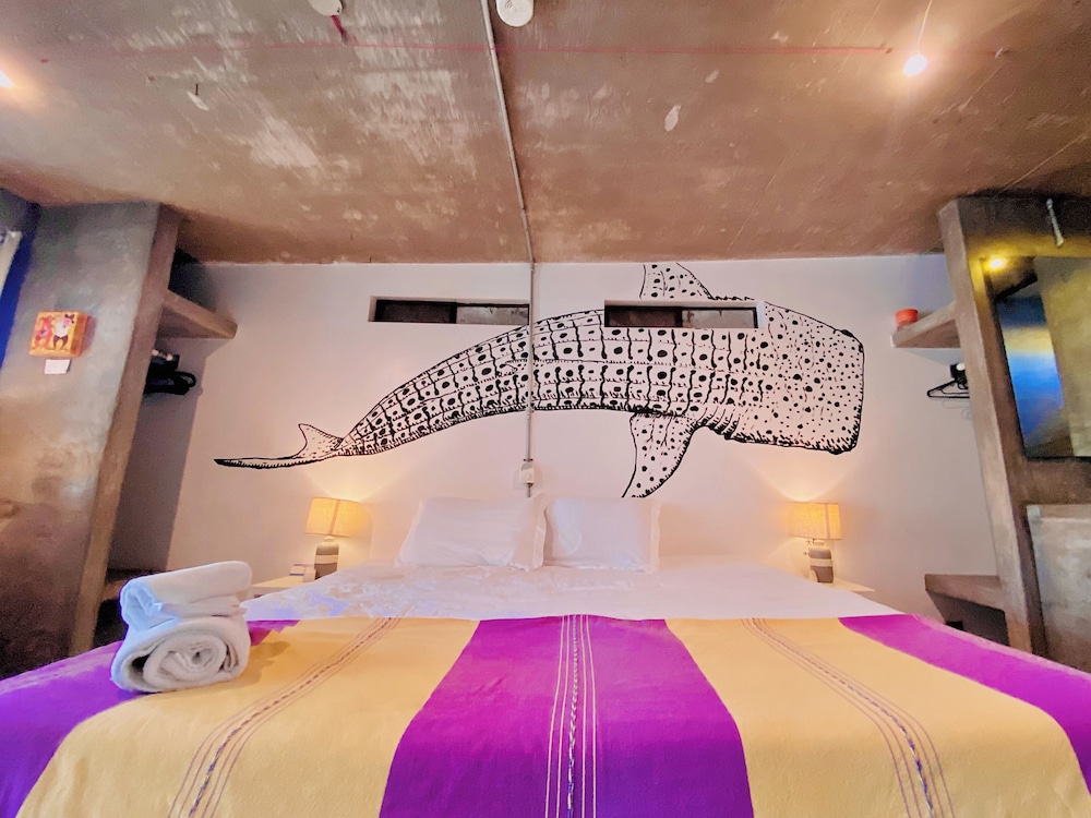 Perro Surfero Hotel Boutique - Todos Santos, BCS