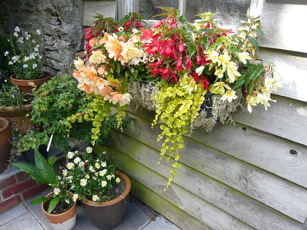 Photo 14