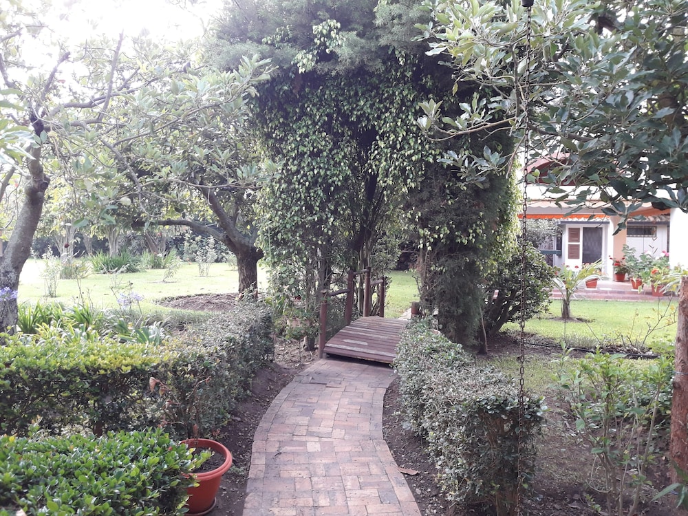 Photo 31